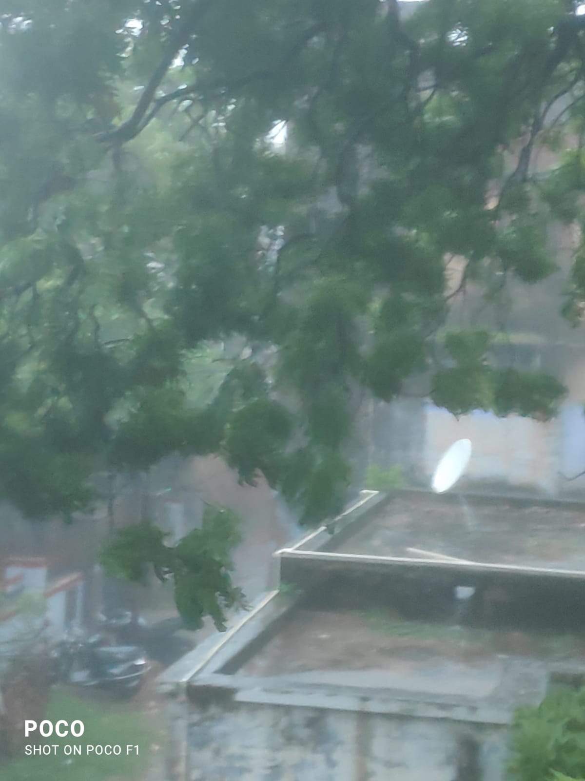 पश्चिमी यूपी में बारिश का कहर, पूर्वी यूपी में अलर्ट