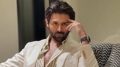 Which Actor Charged Highest Fee for Which Film Know Full List Allu arjun vijay rajinikanth kartik aaryan